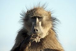 Fragen & Antworten Fragen & Antworten